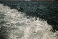 camera:fujifilm_x100 orientation:landscape photographer:deaddeaddeath // 1728x1152 // 302KB