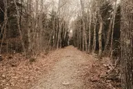 camera:fujifilm_x100 orientation:landscape photographer:deaddeaddeath // 1932x1288 // 838KB
